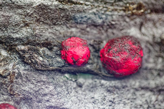 Almandine Garnet with Graphite and Dravite, view 8