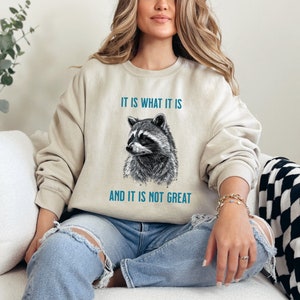Vintage Raccoon Sweatshirt | Mental Health Awareness | Funny Women&#39;s Sweater | Cozy Raccoon Sweatshirt | Vintage Pullover