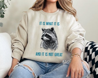 Sudadera vintage de mapache / Concientización sobre la salud mental / Suéter divertido para mujer / Sudadera acogedora de mapache / Suéter vintage