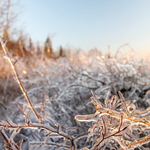 Landscapes, Nature