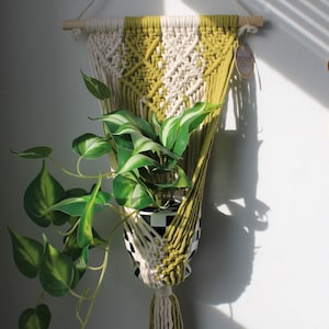 May include: A macrame plant hanger in shades of green and cream, holding a potted plant with green and white leaves. The hanger is suspended from a wooden dowel. A black and white checkered pot holds the plant. A decorative moon phase wall hanging is to the right.