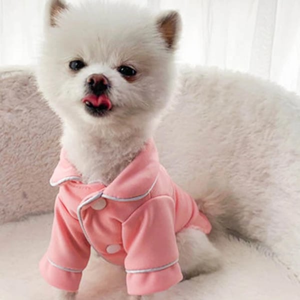 Cute Dog Clothes Etsy — free download