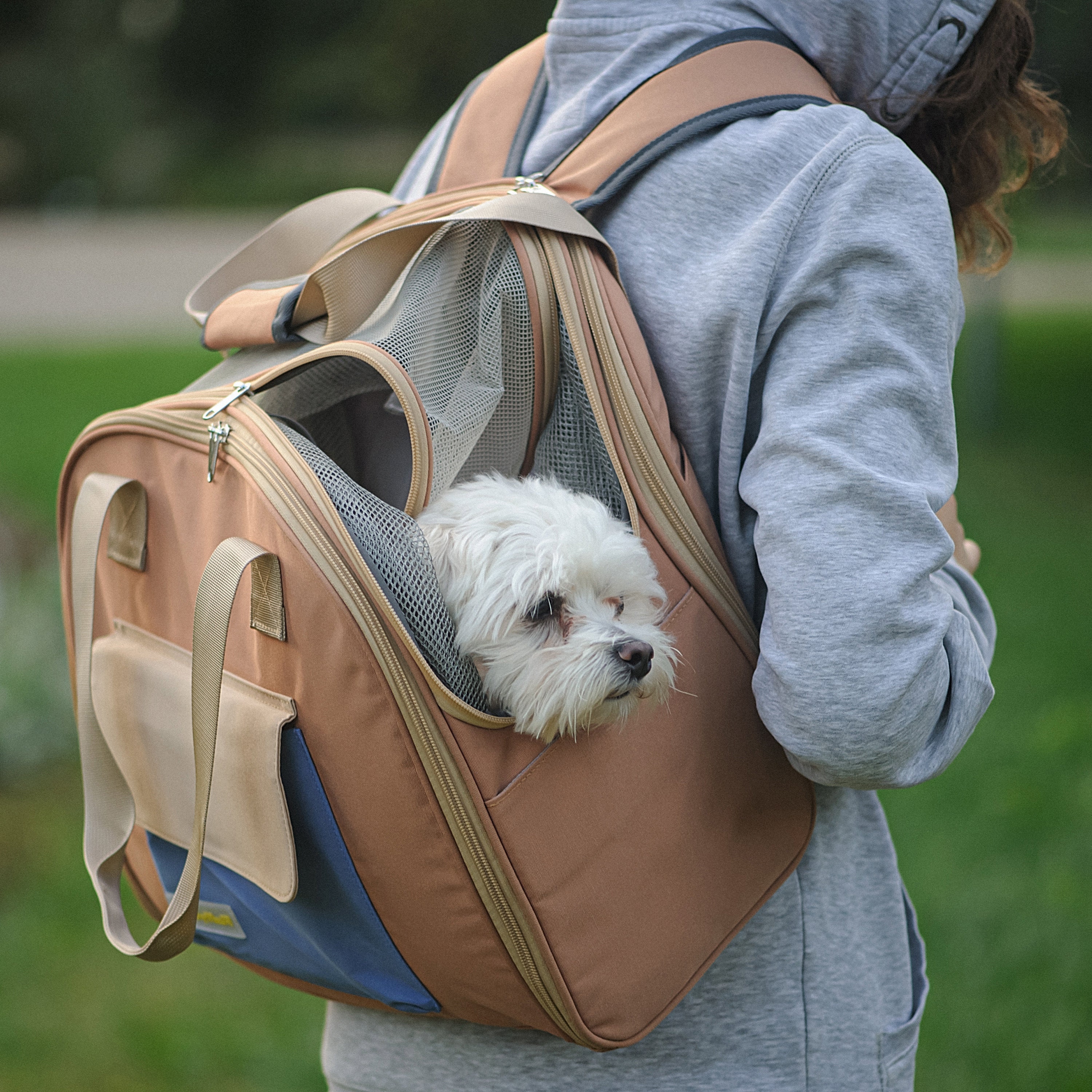 Apollo Walker Pet Carrier Backpack for Large/Small Cats and Dogs, Puppies,  Safety Features and Cushion Back Support | for Travel, Hiking, Outdoor Use
