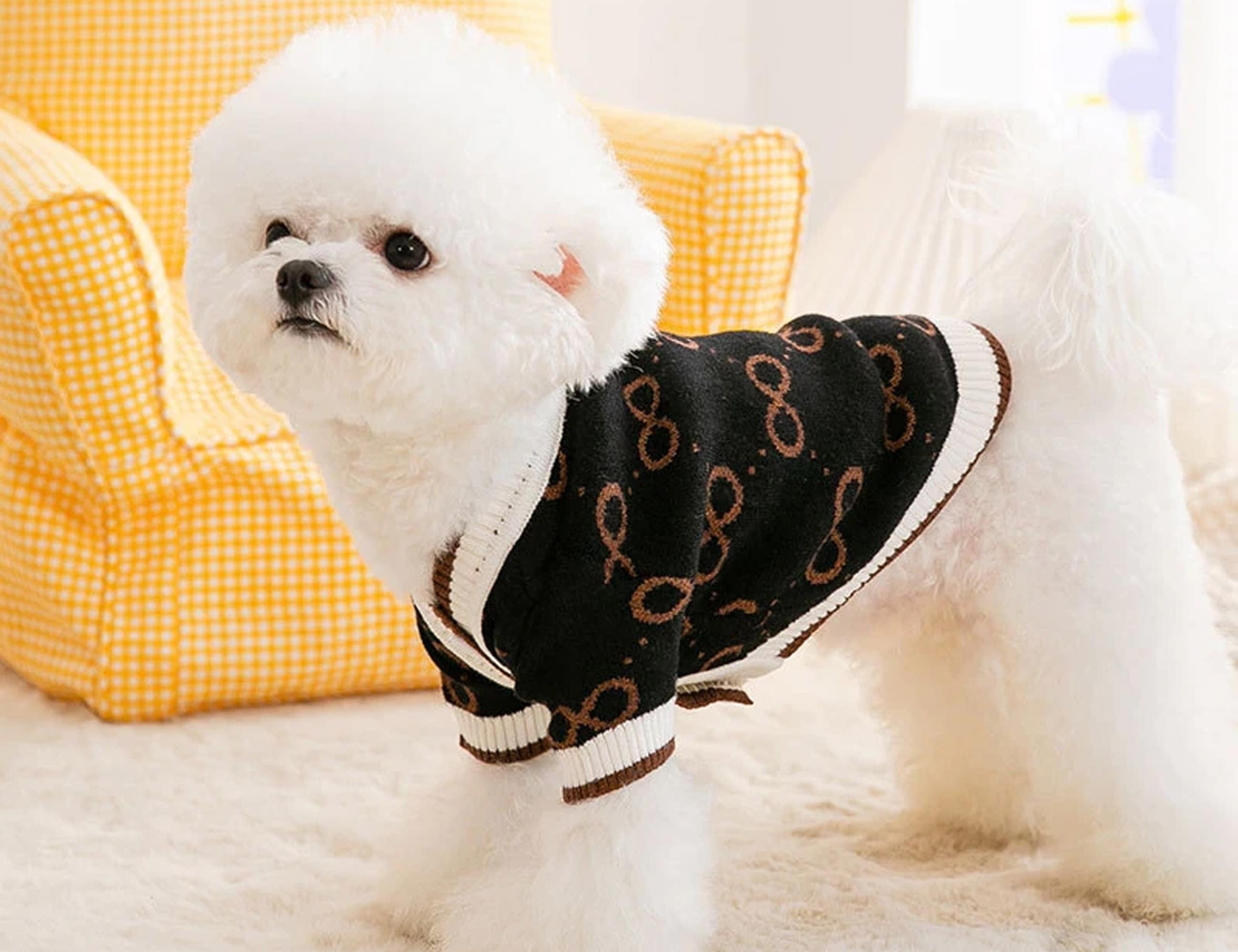 Chewy V Faux Fur Dog Jacket  Luxurious Winter Frenchie Jacket