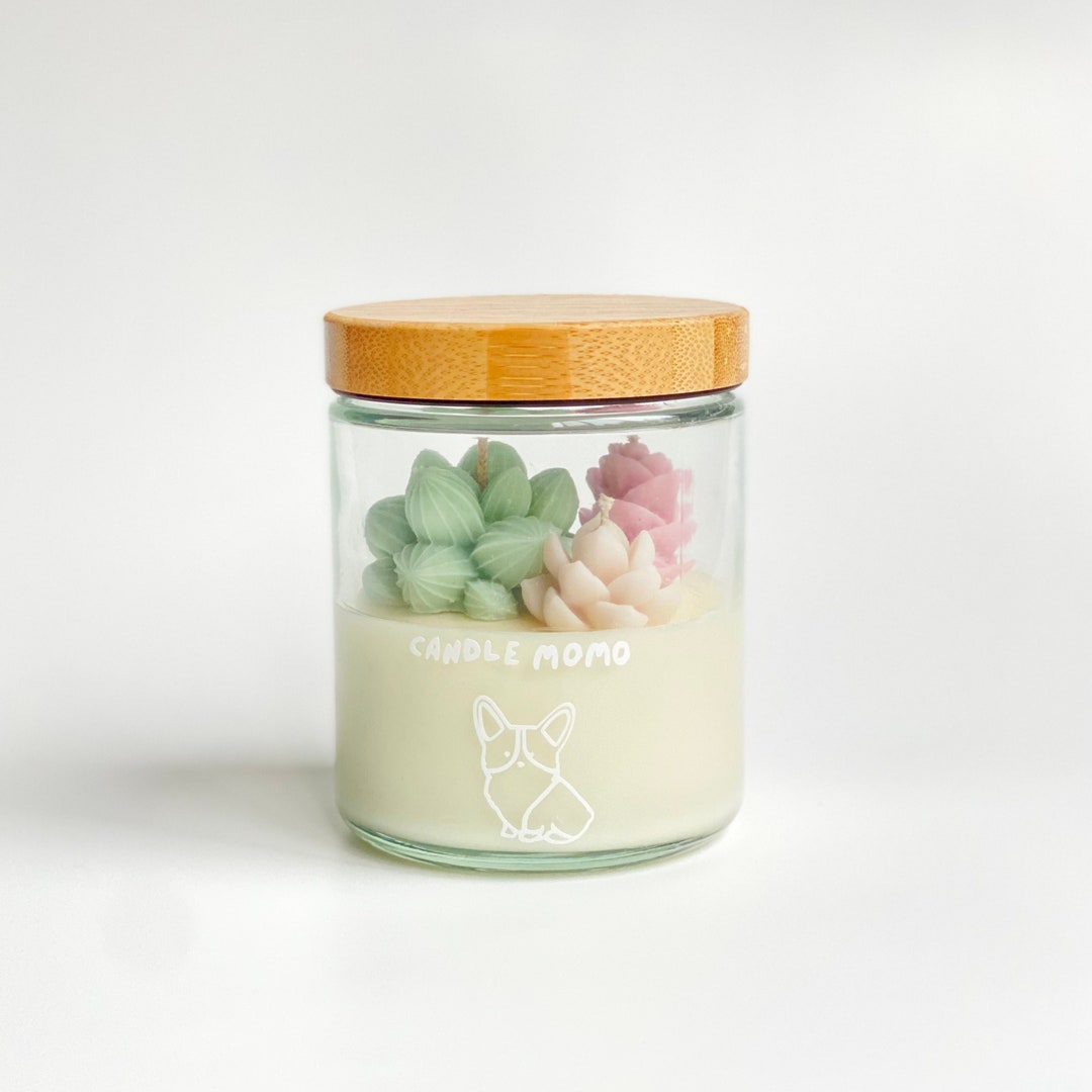 Succulent Terrarium Candle 100 Soy Wax Candle W/ Essential Etsy