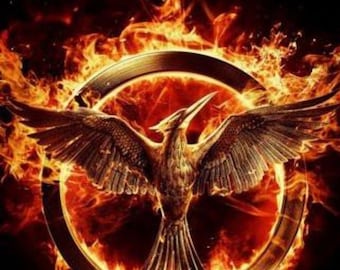 Hunger Games: Mockingjay Part 1 - Original Movie Poster (27x40)