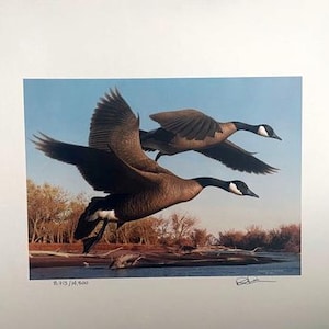 以下が含まれることがあります： 川の上を飛ぶ2羽のカナダガンを描いたプリント。ガチョウは茶色の体、黒い頭と首、白い模様をしています。背景には青い空、木々、水面が描かれています。