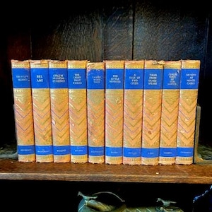 Op de afbeelding: Een verzameling antieke boeken met blauwe ruggen en goudkleurige covers. Titels zoals "Bel Ami" en "A Tale of Two Cities" zijn zichtbaar. De boeken staan op een houten plank, wat een vintage bibliotheek suggereert.