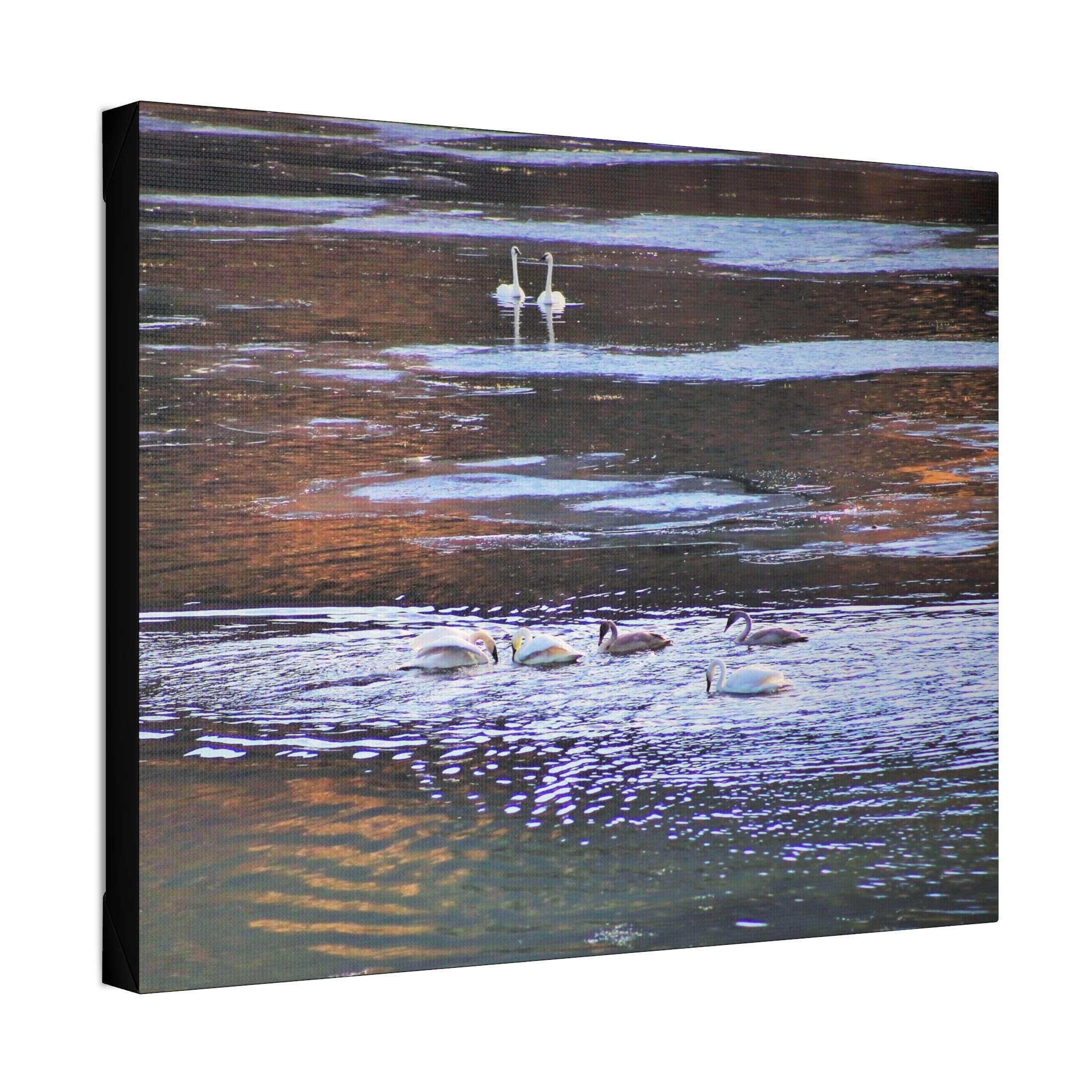 Beautiful canvas wall art picture wall d cor canvas wall art canvas