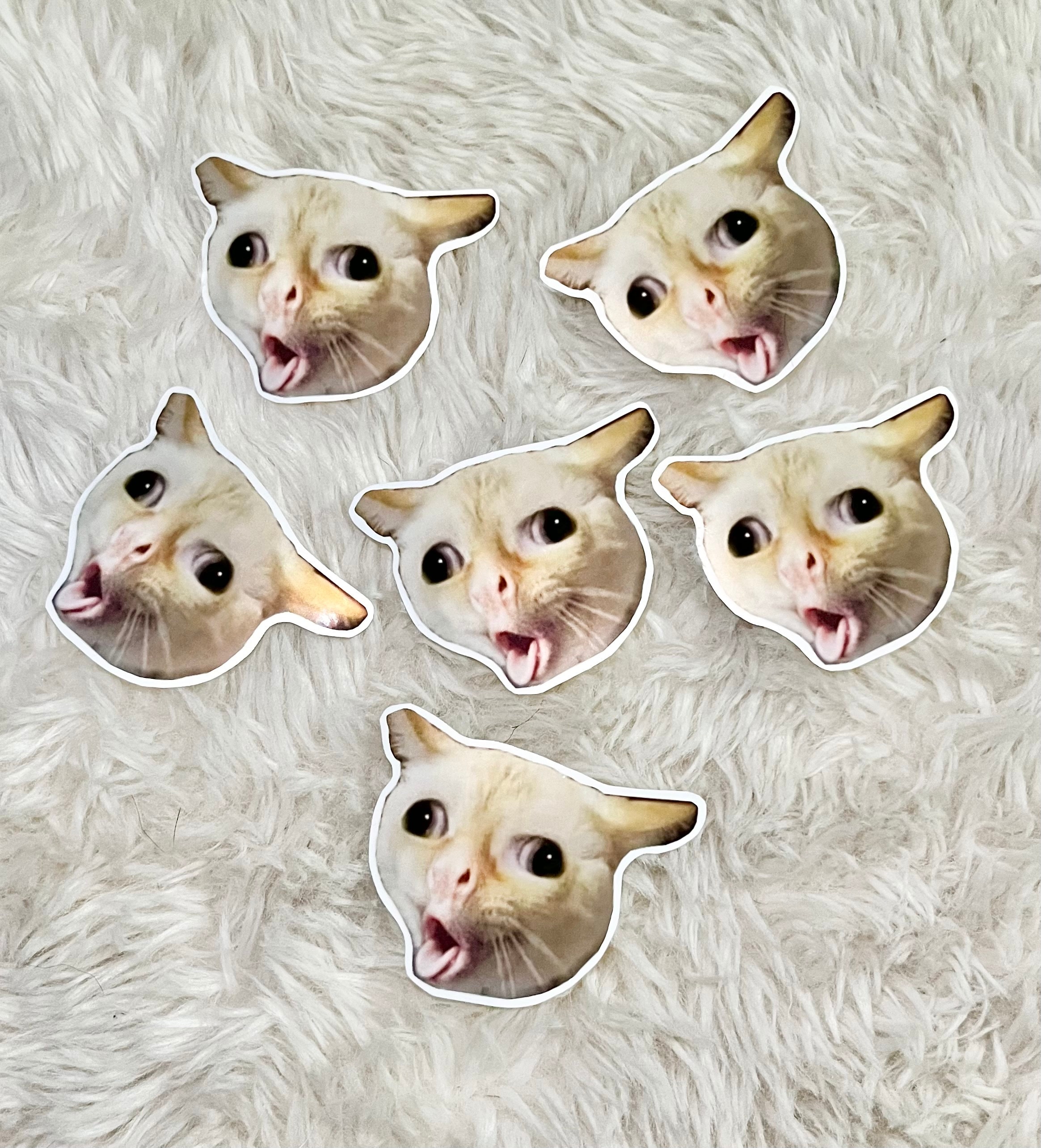 cat meme face, funny cat Sticker for Sale by jassine11