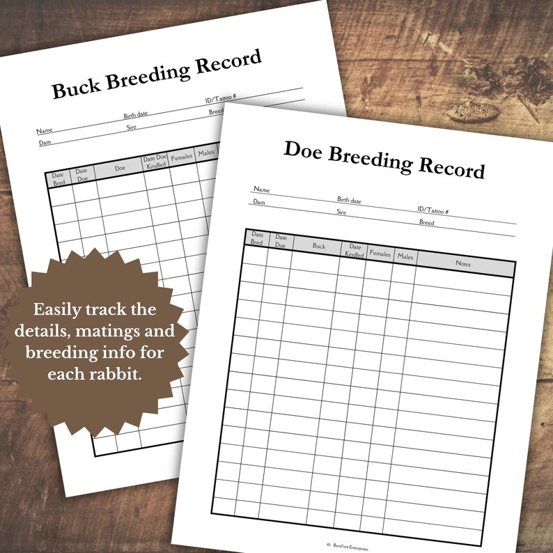 Rabbit Breeding Record Bundle Printable - Etsy