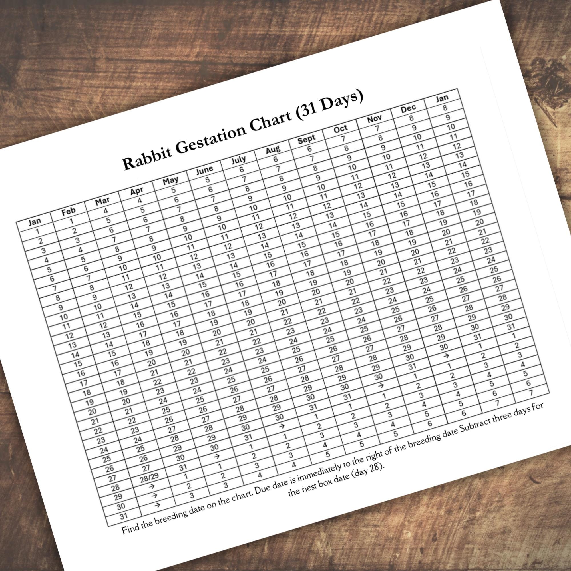 Rabbit Breeding Record Bundle Printable - Etsy Canada