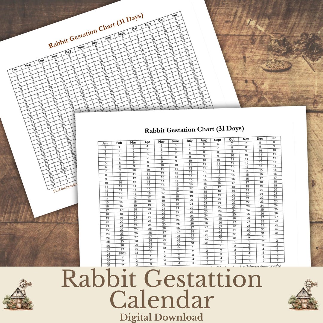 Printable Rabbit Gestation Calendar - Etsy