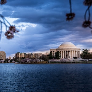 View of the Jefferson Memorial, United States Capitol and Cherry Trees From the Tidal Basin | DC Photography | Cherry Blossoms | Sunset