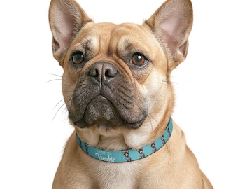 Perpetual Pups™ Frenchie Dog Collar, Adjustable Small Dog Collar, Cute French Bulldog Collar, Blue Puppy Collar, Stylish Pet Accessory