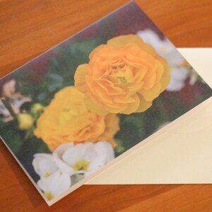 Cartes de voeux florales avec photographies Cartes de correspondance pour toutes les occasions Cartes de correspondance avec enveloppes Cartes de voeux vierges Photographies Cartes de correspondance florales