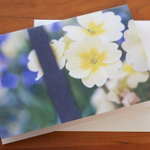 Cartes de voeux florales avec photographies Cartes de correspondance pour toutes les occasions Cartes de correspondance avec enveloppes Cartes de voeux vierges Photographies Cartes de correspondance florales