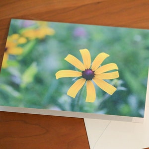 cartes de voeux fleurs ; Cartes de correspondance avec enveloppes ; cartes de correspondance florales ; Images de fleurs ; Cartes vierges ; Photographies de cartes de voeux