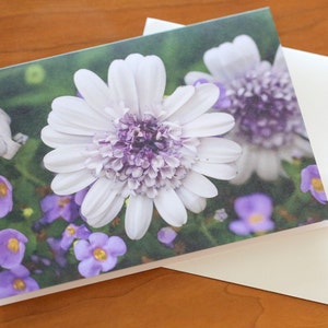 Carte de voeux fleurie pour toutes les occasions Message personnel Cartes de correspondance pour toutes les occasions Cartes de voeux vierges Photographies Carte florale Fleur mauve