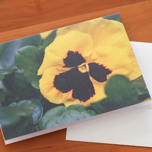 Cartes de voeux florales avec photographies Cartes de correspondance pour toutes les occasions Cartes de correspondance avec enveloppes Cartes de voeux vierges Photographies Cartes de correspondance florales