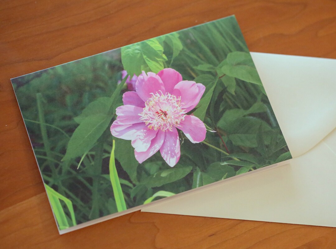 Blank Greeting Cards With Envelopes; Floral Cards; Greeting Card