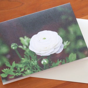 Cartes de correspondance avec enveloppes ; cartes de voeux fleurs ; cartes de correspondance florales ; Images de fleurs ; Cartes vierges ; Photographies de cartes de voeux
