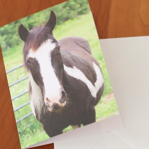 Cartes de portrait de cheval pour toutes les occasions Cartes de correspondance avec enveloppes Cartes de voeux vierges Photographies Chevaux