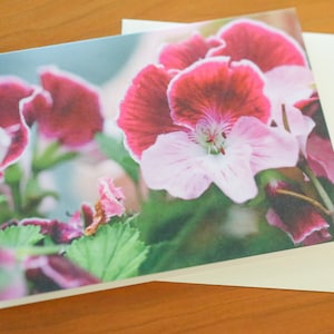 cartes de voeux fleurs ; Cartes de correspondance avec enveloppes ; cartes de correspondance florales ; Images de fleurs ; Cartes vierges ; Photographies de cartes de voeux