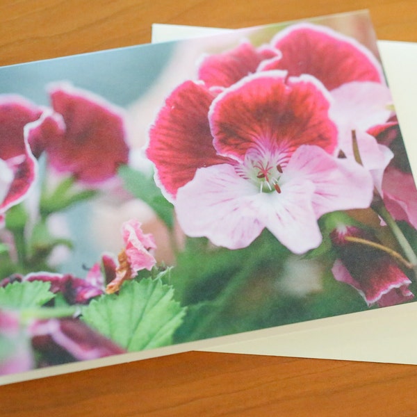 Blank Greeting Cards With Envelopes; Floral Cards; Greeting Card Photography