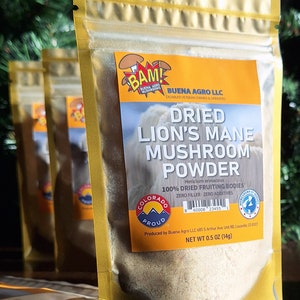 Premium Half Ounce (14g) Slow-Dried 100% Lions Mane Powdered Fruiting Bodies | Made in USA | Healthy Superfood, Smoothies, Enhancer Powder
