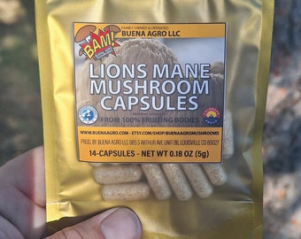 14 Count Lions Mane Capsules - Trial Size - 250mg - 100% Dried Fruiting Bodies - Made in USA - Product of Colorado - NO EXTRACT