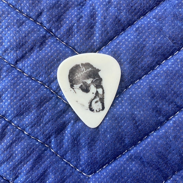 Cheap Trick LIVE GIG Stage Used Guitar Pick, Cheap Trick Music Collectible, Rock And Roll Guitar Pick, Rock Memorabilia, Cheap Trick Pick