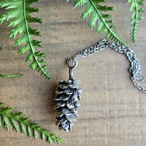 Op de afbeelding: Een zilverkleurige ketting met een gedetailleerde dennenappelhanger. De hanger hangt aan een fijne ketting. Groene varenbladeren omlijsten de ketting tegen een houten achtergrond, wat een natuurlijke uitstraling creëert.