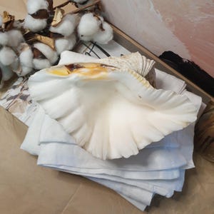 May include: A large, white seashell with a ruffled edge, on a stack of folded white linen napkins. The shell has yellow and brown accents. Cotton bolls and a wooden tray are in the background.