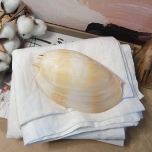 May include: A large, cream-coloured seashell with light brown markings rests on a stack of folded white linen. The shell's surface has a smooth texture. The scene evokes a coastal or beach theme.