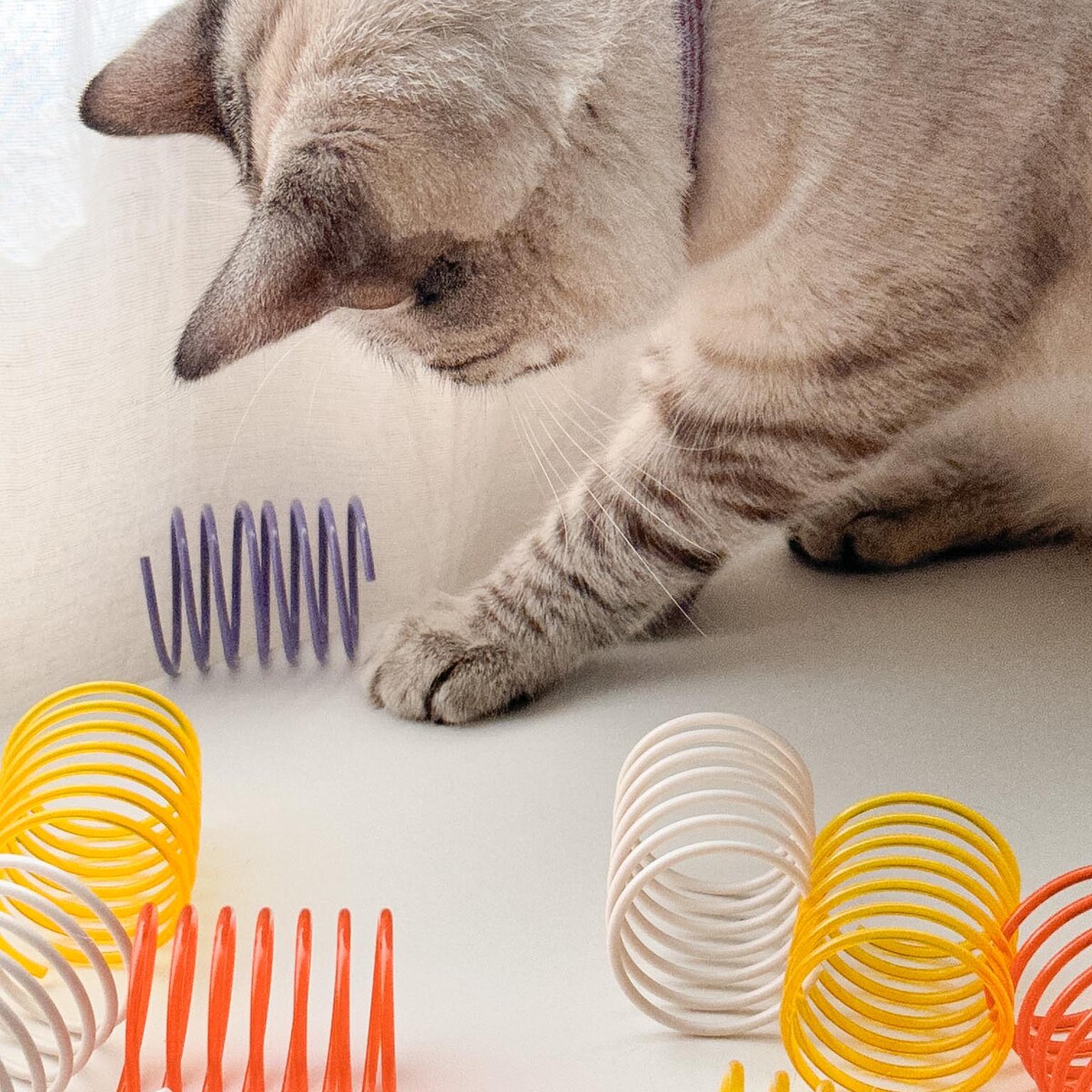 Cat Toys Springs - Interactive Cat Toy - Kitten Toys - Pack of 5 - Pawlly Joylly - Etsy