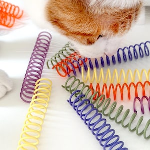 Könnte beinhalten: Nahaufnahme einer Katze, die mit bunten Katzenspielzeugen interagiert. Die Spielzeuge sind spiralförmige Federn in verschiedenen Farben, darunter Lila, Gelb, Orange, Grün und Blau. Die Katze hat orange-weißes Fell.