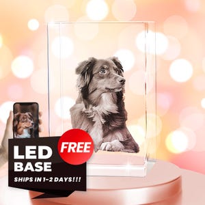 Personalized 3D Crystal Photo Pet Memorial, Etched K9 Crystal Portrait (Free Multicolor LED Base)