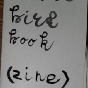Le livre Le petit oiseau (Zine)