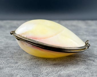 Vintage 3" Clamshell Natural Shell Brass Coin Purse Trinket Box Pill Holder Sea