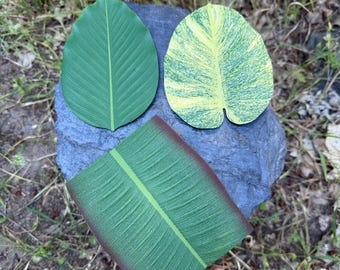Banana Leaf Drink Coasters Set of 3 | Durable Latex Coasters Made in Thailand