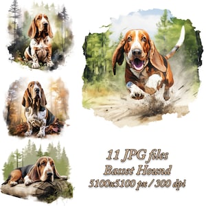 Basset Hound Watercolor Clipart Bundle: Dog Sublimation Designs (JPG Files)