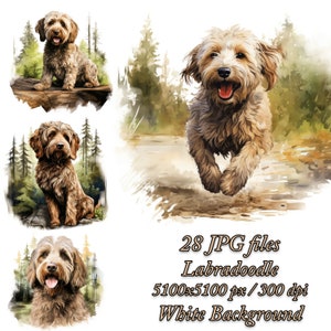 Pack de cliparts Labradoodle, pack de sublimation de chien, pack de cliparts JPG aquarelle Labradoodle, lot de sublimation Labradoodle.