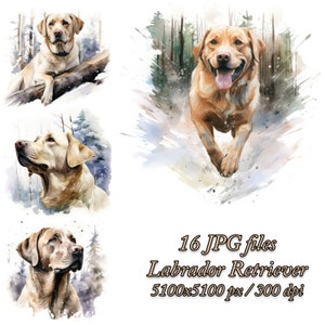 Labrador Retriever Clipart Bundle | Dog Sublimation Design | Labrador Retriever Watercolor Clipart JPG | Labrador Retriever in Winter JPG
