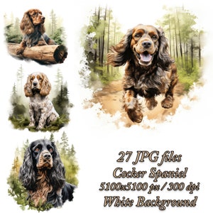 American Cocker Spaniel Clipart Pack, Dog Sublimation Design, Cocker Spaniel Watercolor Clipart JPG Pack, Cocker Spaniel Sublimation Bundle
