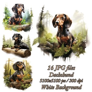 Dachshund Clipart Bundle Dog Sublimation Design, Dachshund Watercolor Clipart JPG, Dachshund Sublimation Pack, Dachshund in summer forest