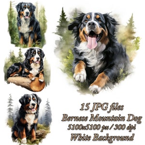 Berner Sennenhund Clipart-Pack, Hund Sublimationsdesign, Berner Sennenhund Aquarell Clipart JPG Pack, Sennenhund Sublimations-Bundle