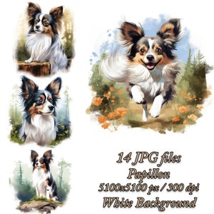 Papillon hond clipartbundel, hond sublimatie ontwerp, Papillon aquarel clipart JPG, Papillon sublimatiepakket, hondenliefhebbers Design Pack