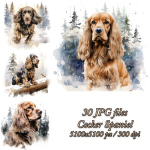 Cocker Spaniel Watercolor Clipart Bundle | Dog Sublimation Design | Cocker Spaniel Watercolor Clipart JPG | Winter Clipart | Winter Pack