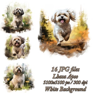 Lot de cliparts Lhassa Apso pour chien, clipart aquarelle Lhassa Apso JPG, design par sublimation Lhassa Apso. Chien, dans, forêt Clipart